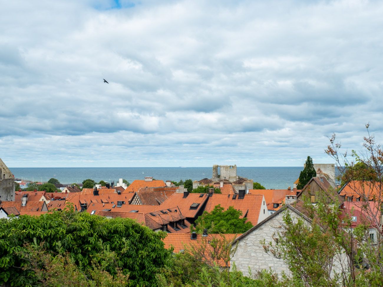 Gotland Dächer Ausblick Ostsee