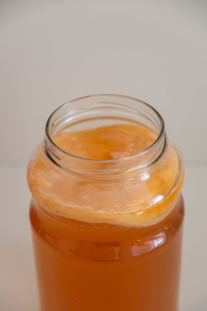 About Fuel, ROY Kombucha, SCOBY, Brewing Kit